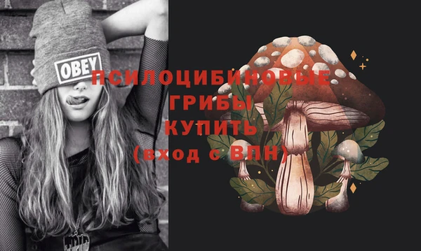 индика Струнино