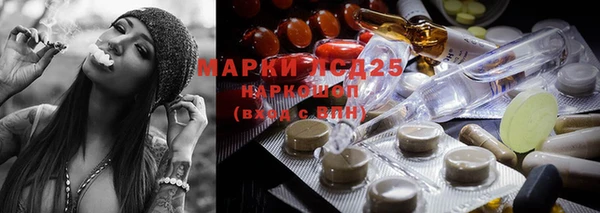 спайс Нея