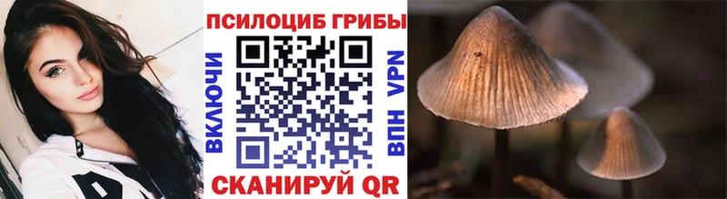 Псилоцибиновые грибы прущие грибы  наркотики  дарк нет формула  Пролетарск 